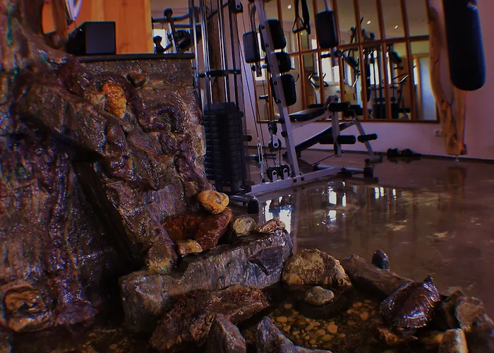 Hotel Zum Loewen Aschau Im Zillertal